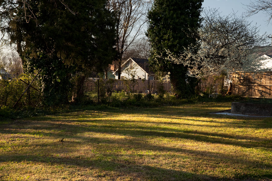 This Brian Charles Steel photograph is a residential yard at sunset.  The low hanging sun causes the trees to cast long shadows across the grass.  The shadows stretch all the way across the yard creating series of light and dark stripes through the grass.  On the far right there is a white dogwood catching yellow sun on its blossoms. 