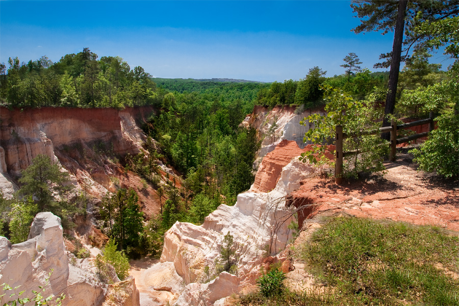 This is a Brian Charles Steel photograph of Providence canyon in Columbus, Georgia.  The canyon is in the middle left portion of the frame.   The canyon rock is white and red.  On the right side there is a wooden fence with some bushes and trees.  Green trees run through the middle of the canyon.  The sun is bright blue with no clouds.  It is bright and sunny. 