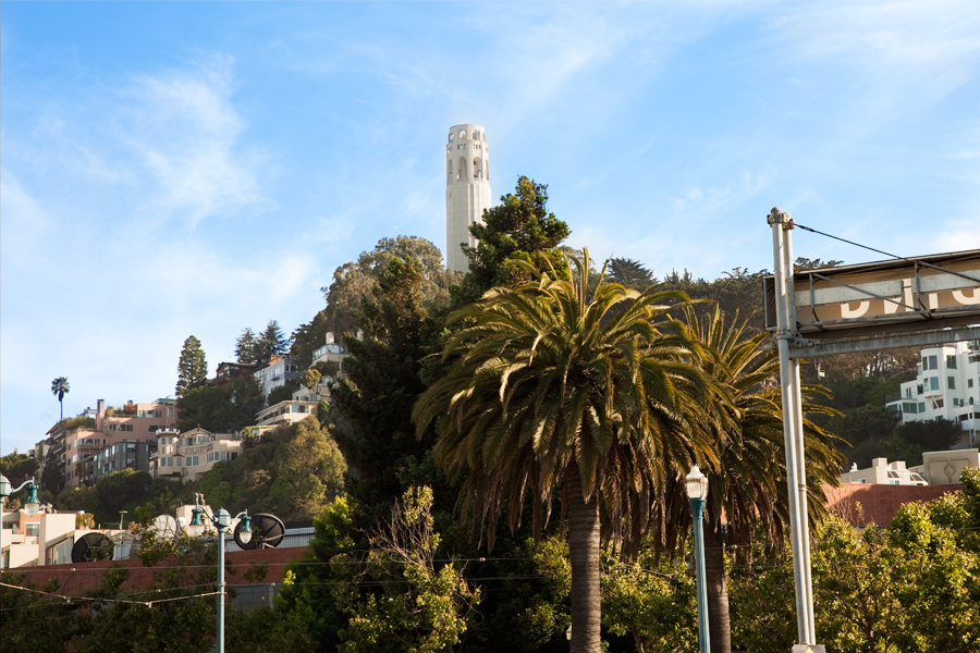 This Brian Charles Steel photo depicts the Coit Tower in the Telegraph Hill neighborhood in San Francisco, California.  The tower is top center of the frame.  Above and behind the tower is a bright blue sky with scattered thin clouds.  The tower is up on a hill the side of the hill is peppered with houses.  Below the tower is a palm tree a couple of pine trees.  On the far right side of the frame is the backside of a parking sign. 